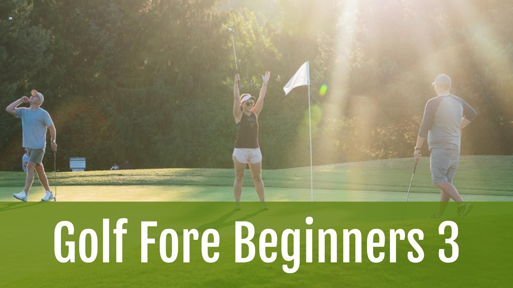 Golf Fore Beginners 3 The Golf Club at Yankee Trace Centerville, OH